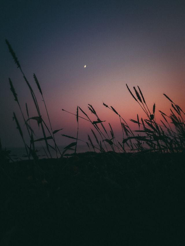 The Night Walk